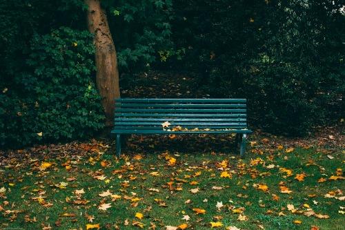 Park Bench